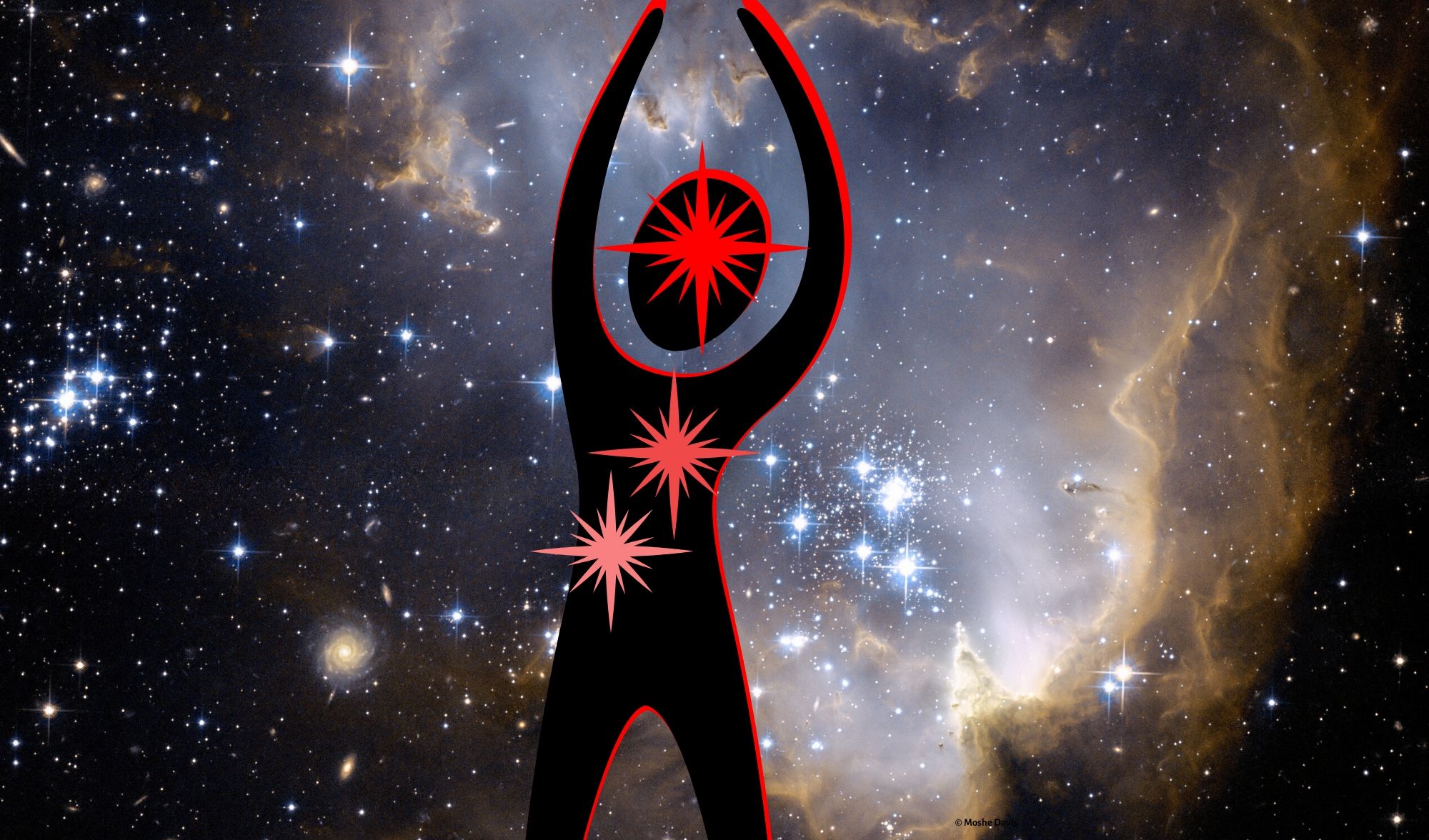 anatomy of the soul zach bush